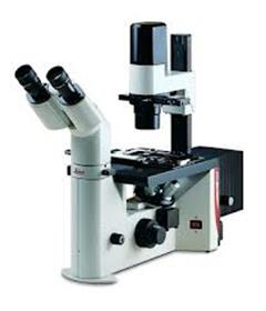 Microscope