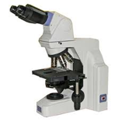 Microscope